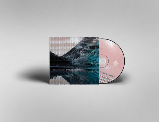 Downpilot Strange Horses CD