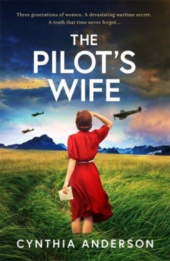The Pilot's Wife The Pilot's Wife