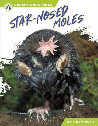 Creepy Creatures: StarNosed Moles Creepy Creatures: StarNosed Moles