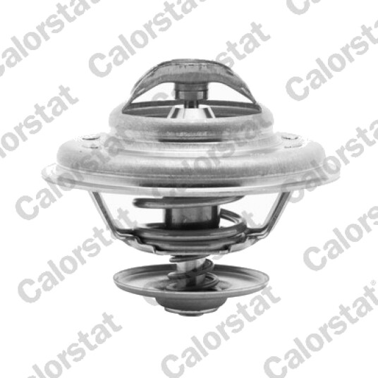 Termostat CALORSTAT by Vernet TH5111.80J