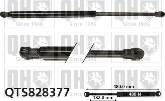 QUINTON HAZELL QTS828377 Baklukedemper