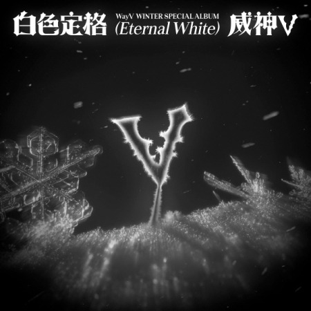 Wayv Winter Special Album Eternal White Photobook Random Cover Version incl. 72pg Photobook + Photocard CD