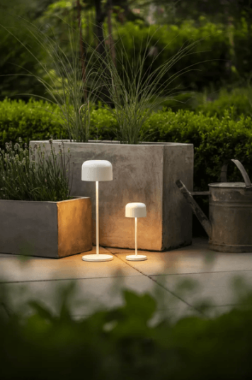 Trend Collection Lille mini bordlampe – oppladbar og dimbar, hvit