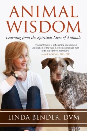 Animal Wisdom Av Linda Bender