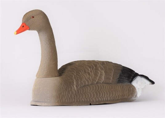 Alces Bulvan Grågåseskall flokket seg Alces Bulvan Grågåseskall flokket seg