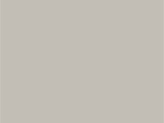 Bakgrunn Papir Sølvtone - 1.35x11 m