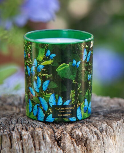 Vila Hermanos Jungle Blue Butterfly Duftlys 200g