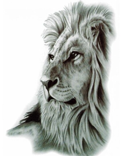 Lion"s Pride Fake Tattoo