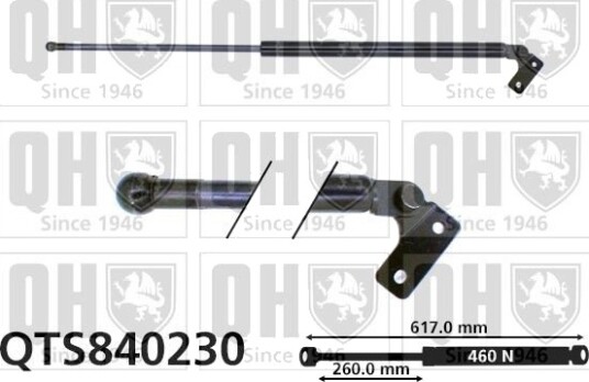 QUINTON HAZELL QTS840230 Baklukedemper