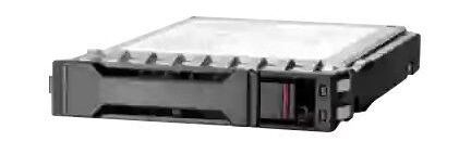 Hewlett Packard Enterprise HPE - SSD - Read Intensive - 960 GB - SAS 22.5Gb/s