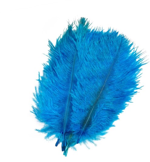 Frodin Flies Ostrich Hackles