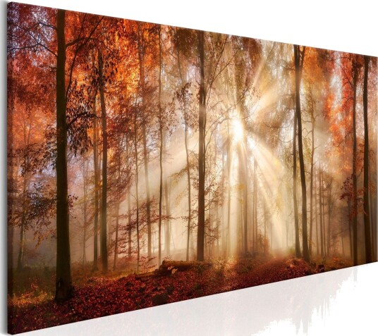 Bilde Autumnal Dawn 150x50 Artgeist sp. z o. o.
