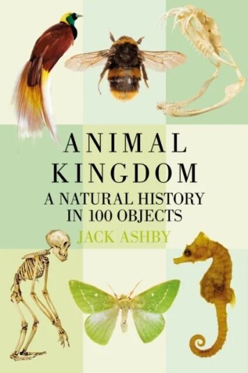 Animal Kingdom Av Jack Ashby