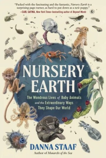 Nursery Earth Av Danna Staaf