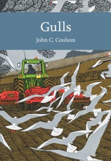 Gulls Av Professor John C. Coulson