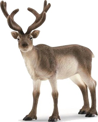 Schleich Reinsdyr Wild Life Figur i Plast