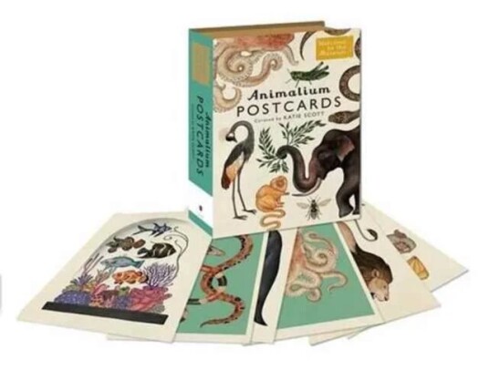 Animalium Postcards Av Katie Scott Animalium Postcards Av Katie Scott
