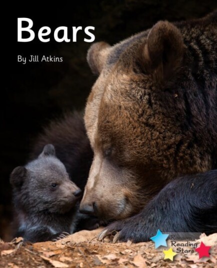 Bears Phonics Phase 5