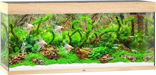 Rio 240 LED eik (lyst tre) akvarium Rio 240 LED eik (lyst tre) akvarium