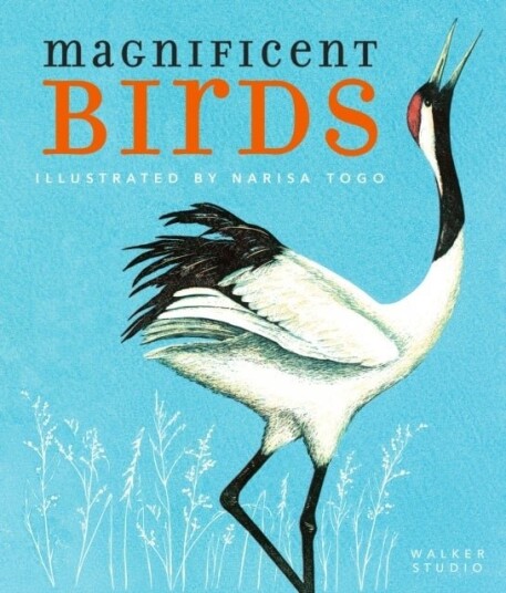 Magnificent Birds Magnificent Birds