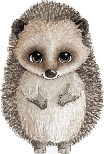 Stickstay Harry The Hedgehog Veggklistremerke Stickstay Harry The Hedgehog Veggklistremerke
