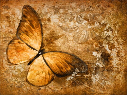 Fototapet Butterfly Sepia 250x193 - Artgeist sp. z o. o.