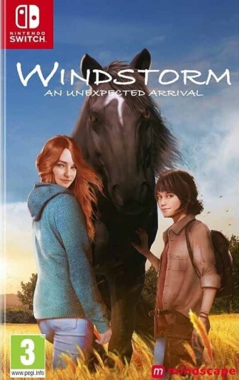 Windstorm: An Unexpected Arrival Code in Box Switch