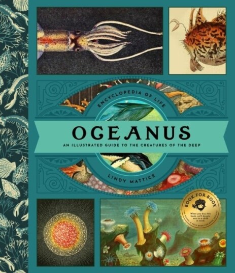 Oceanus Oceanus