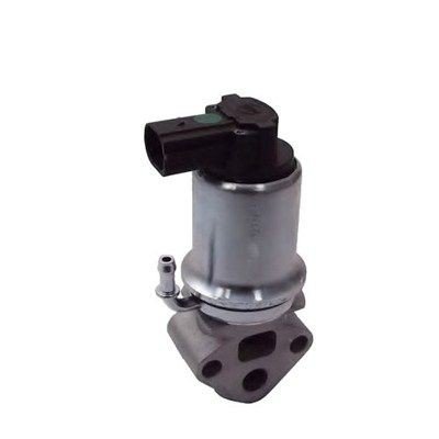EGR Ventil MAGNETI MARELLI 571822112014