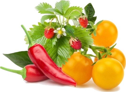 Click and Grow Smart Garden Refill 9-pack Fruit and Veggie Mix Click and Grow Smart Garden Refill 9-pack Fruit and Veggie Mix