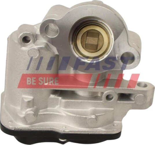 EGR Ventil FAST FT60244