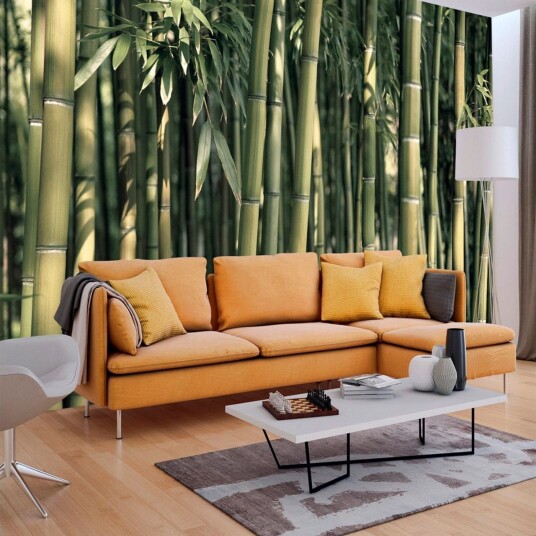 Fototapet Bamboo Exotic 400x280 - Artgeist sp. z o. o.