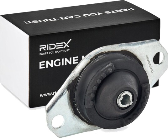 RIDEX 247E0194 Motorfeste