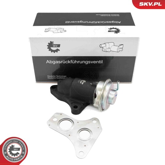 EGR Ventil ESEN SKV 14SKV263