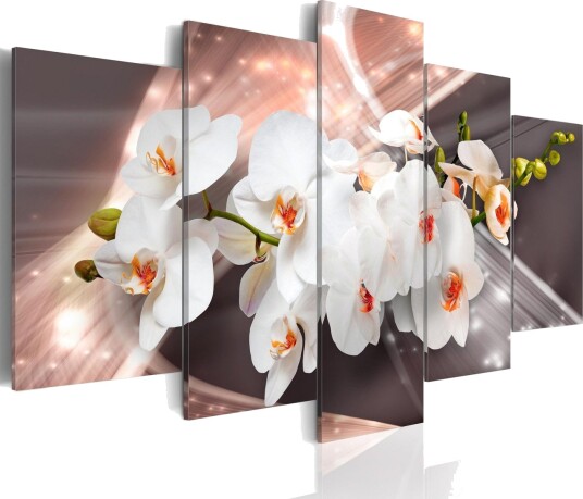 Bilde Echo Of Beauty 100x50 Artgeist sp. z o. o.
