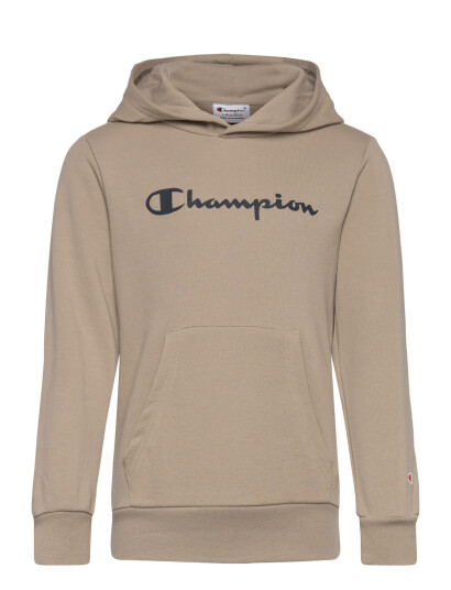 Champion Hooded Sweatshirt Brown 102 107