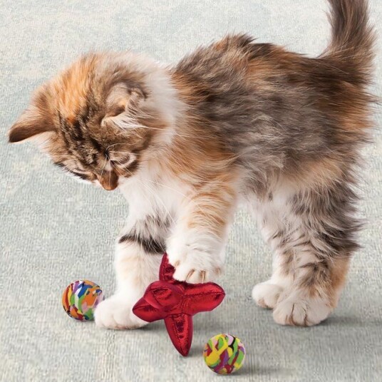 Kong Cat Active Jacks 3 St