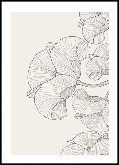Flowers Plakat Plakat / 100x150cm