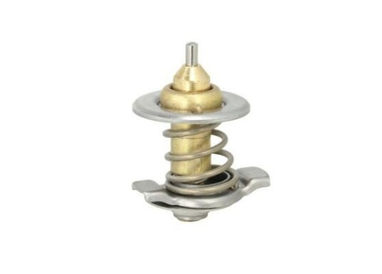Termostat THERMOTEC D2IV007TT