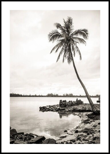 Tropical Palm on Beach Plakat Plakat / 21x30cm Tropical Palm on Beach Plakat Plakat / 21x30cm