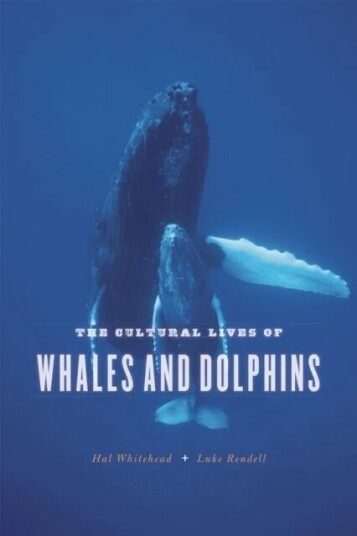 The Cultural Lives Of Whales And Dolphins Av Hal Whitehead, Luke Rendell