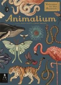 Animalium Av Jenny Broom
