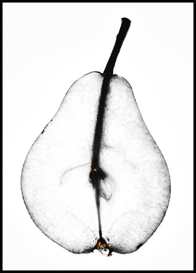 Pear Plakat Plakat / 40x50cm