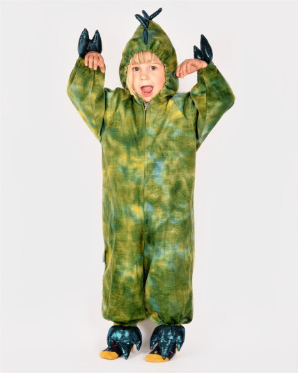Den goda fen Dinosaur Costume - Green - 104