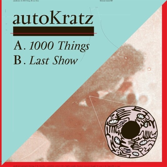 1000 Things Vinyl