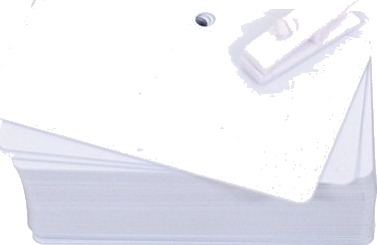 Evolis Pvc Tomme Forhåndshullede Kort Polyvinylklorid Pvc 20 Mil 100 Kort