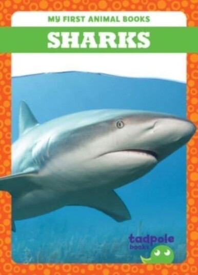 Sharks Sharks