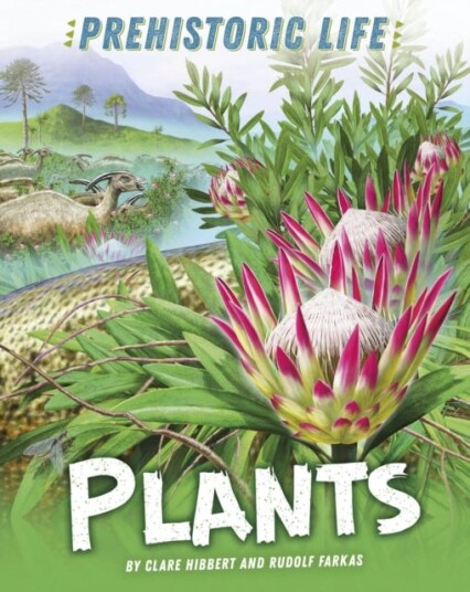 Prehistoric Life: Plants Av Clare Hibbert