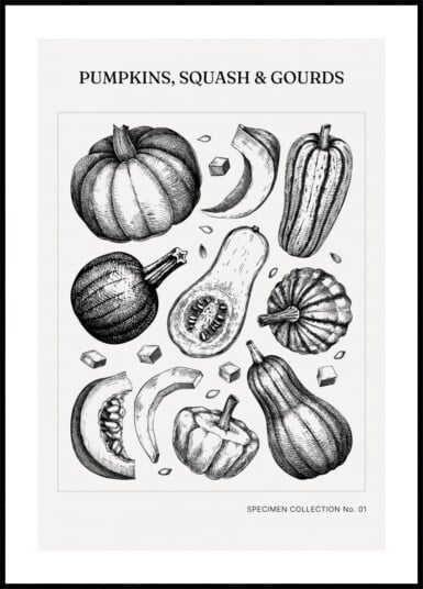 Vintage Botanical Pumpkins Plakat / 70x100