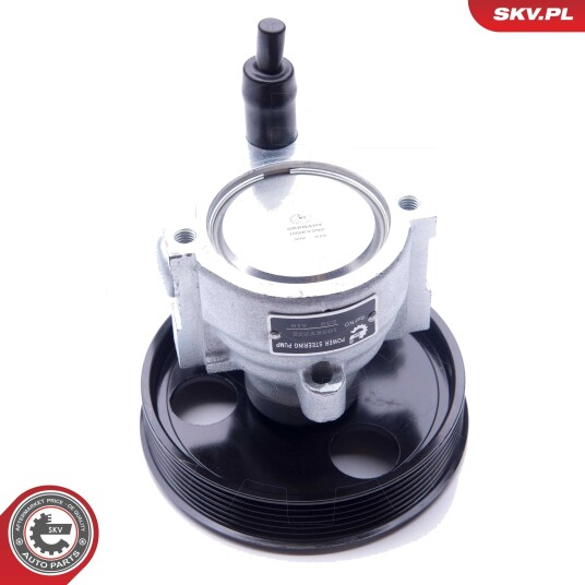 Servopumpe ESEN SKV 10SKV232